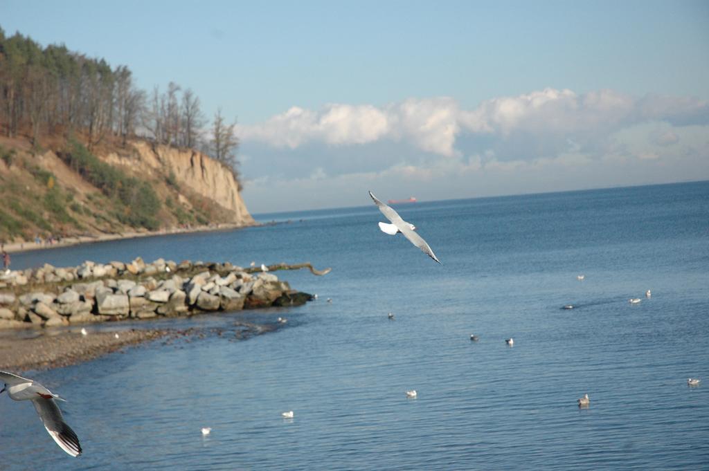 Apartamenty Wójcik Provans Gdynia Bagian luar foto